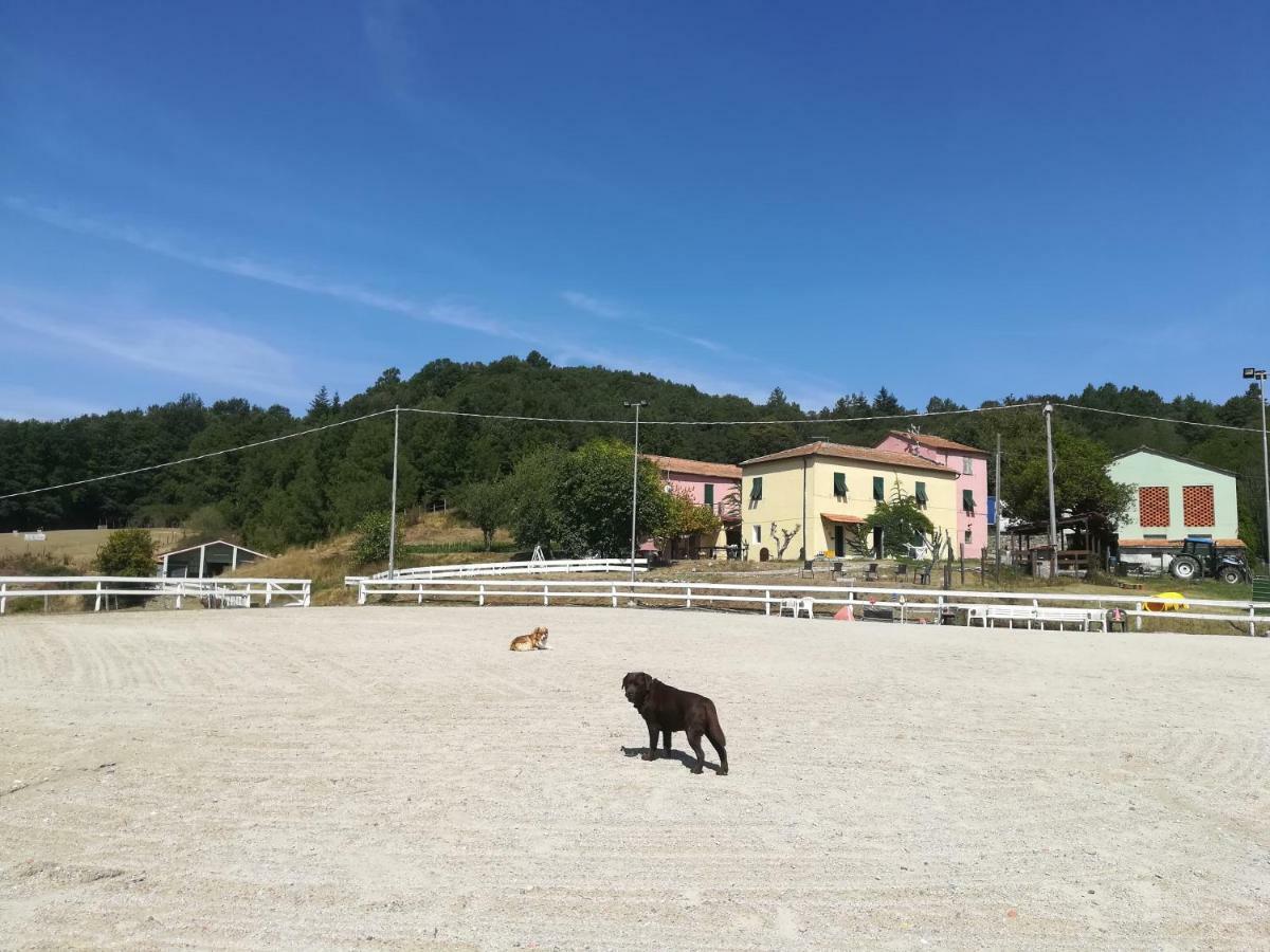 Agriturismo Dei Legi Villa San Pietro Vara Exterior photo